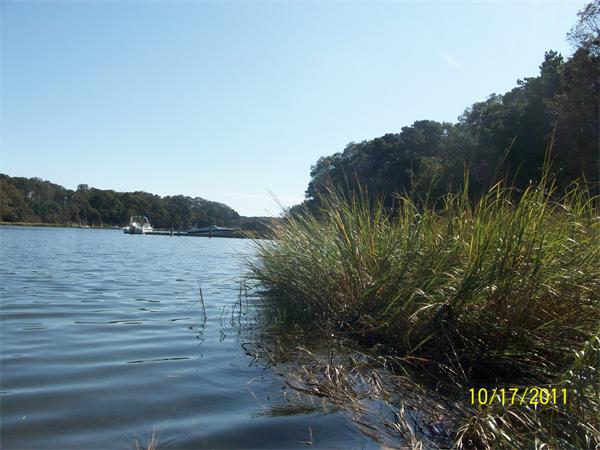 Viewing Image 4