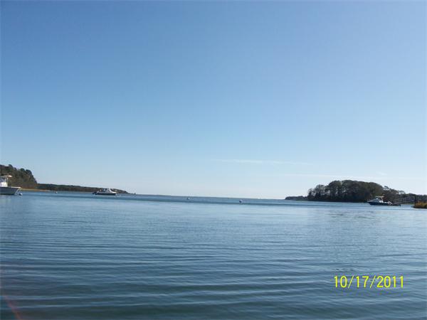 Viewing Image 5