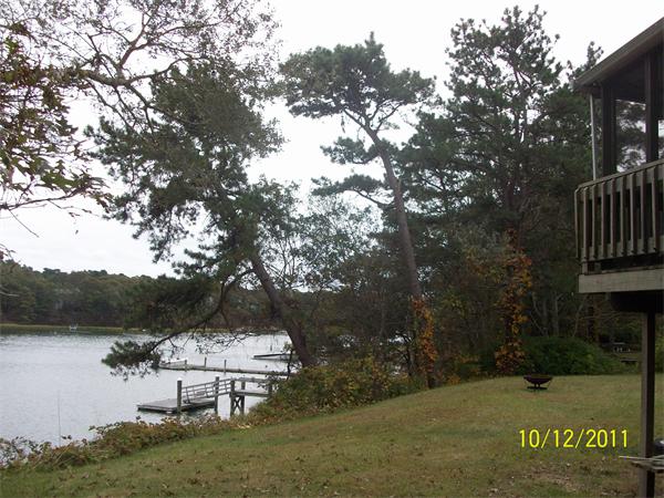Viewing Image 8