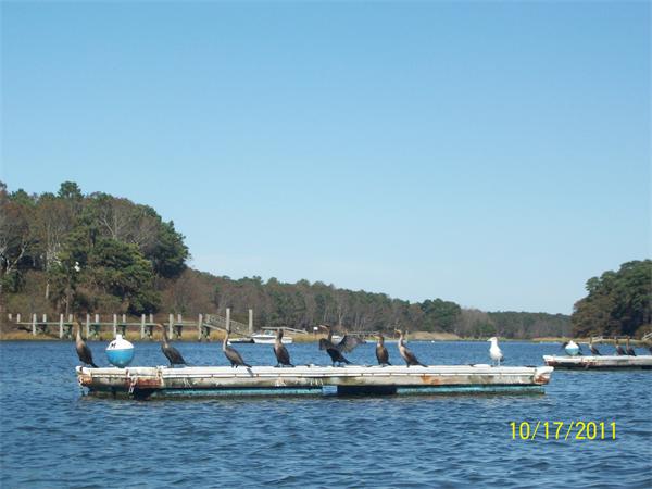 Viewing Image 11