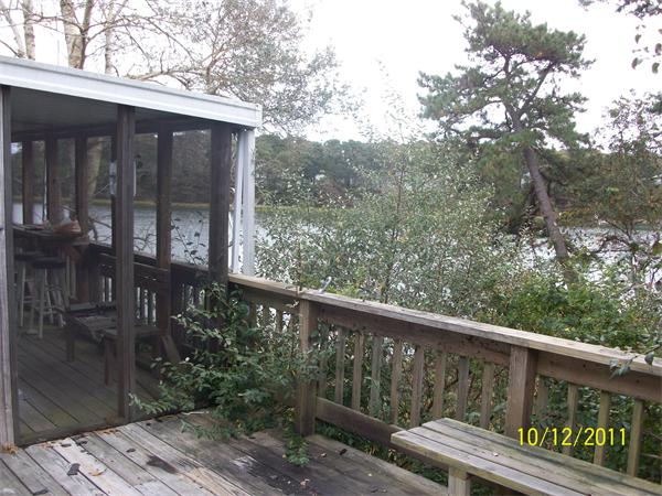 Viewing Image 12