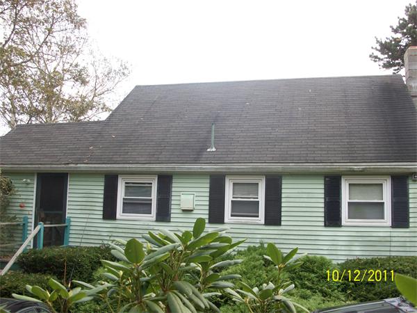 Viewing Image 14