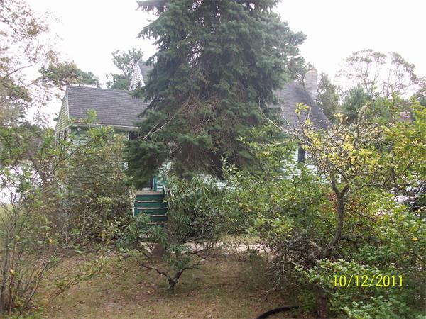 Viewing Image 16