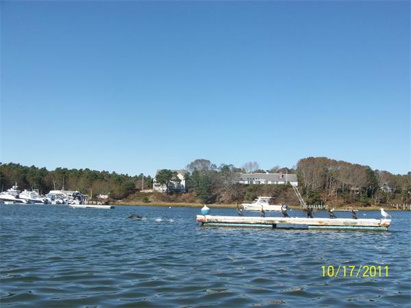 Viewing Image 28