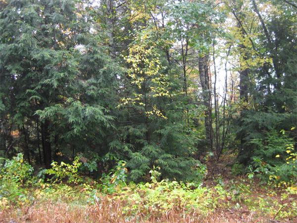 Real Estate for Sale, ListingId:17549664, location: L 562&564 Chicopee Drive Hubbardston 01452