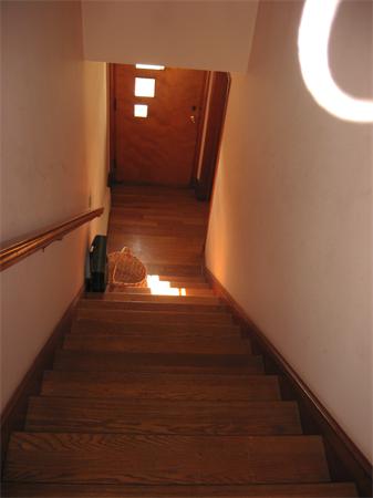 Viewing Image 16