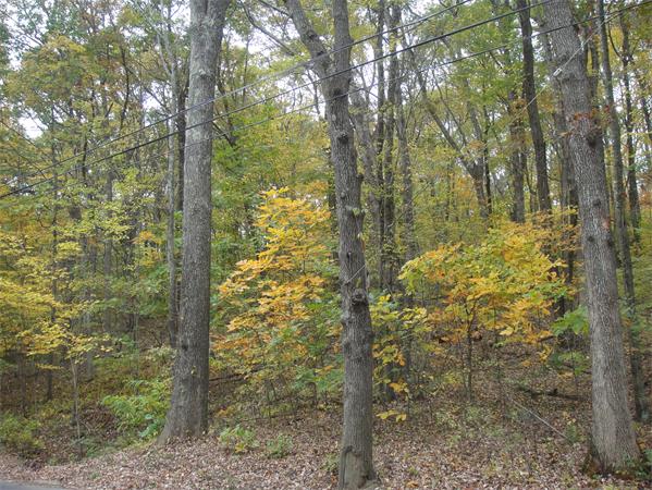 Land for Sale, ListingId:17549762, location: lot 16A Warren Road Brimfield 01010
