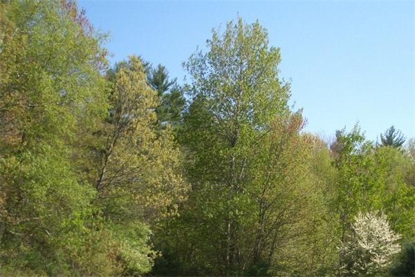 Land for Sale, ListingId:19319272, location: Lot 3 Washington St Boxford 01921
