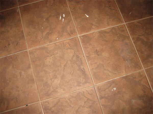 Viewing Image 5