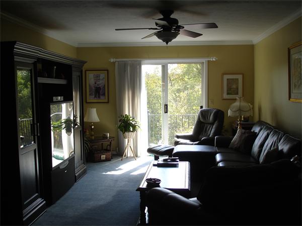 Viewing Image 7