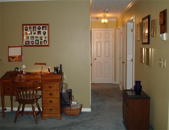 Viewing Image 8