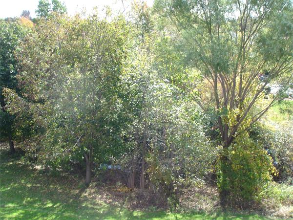 Viewing Image 17