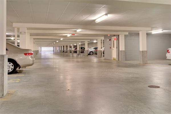 Viewing Image 25
