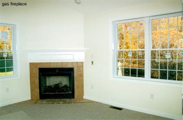 Viewing Image 7