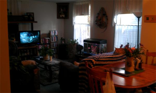 Viewing Image 3