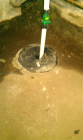 Viewing Image 11