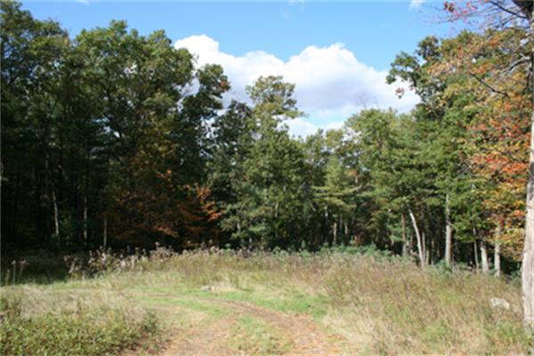 Land for Sale, ListingId:17583350, location: 1480R Main Street Lynnfield 01940