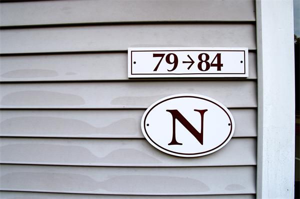 Viewing Image 11