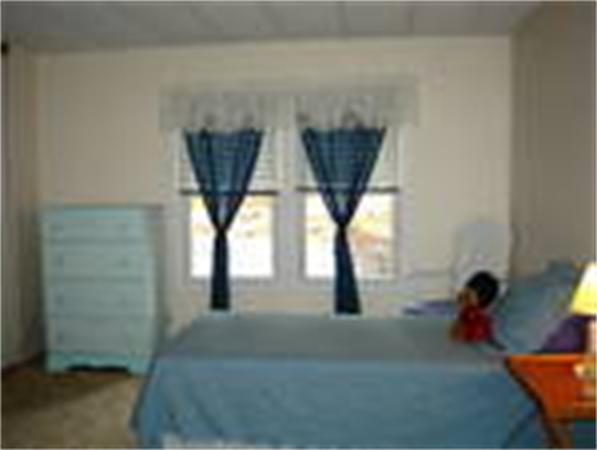 Viewing Image 7