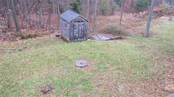 Viewing Image 11