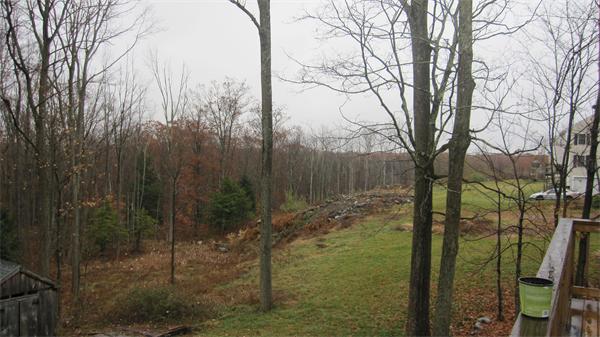 Viewing Image 14