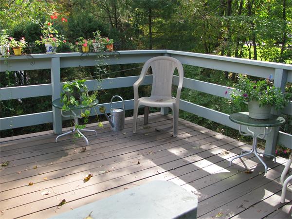 Viewing Image 11