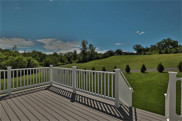 Viewing Image 4
