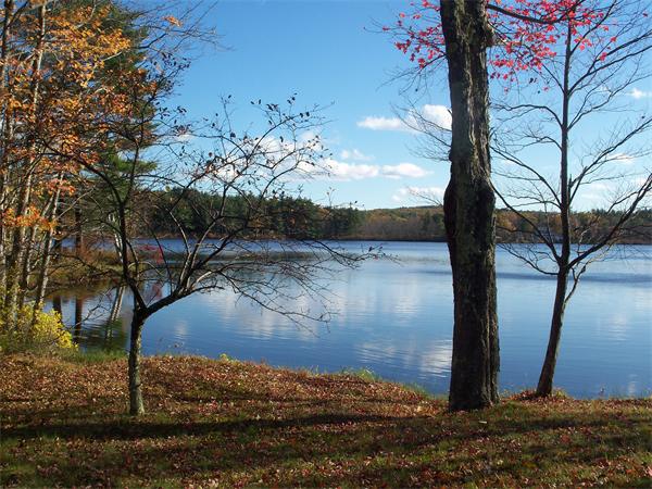 Viewing Image 12