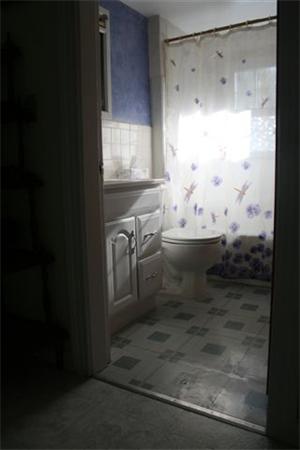 Viewing Image 11