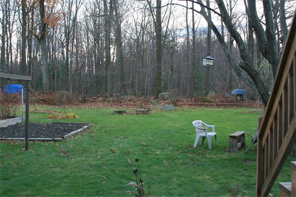 Viewing Image 17