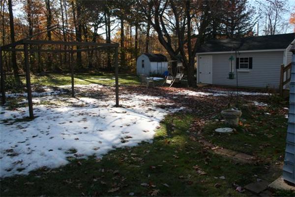 Viewing Image 19