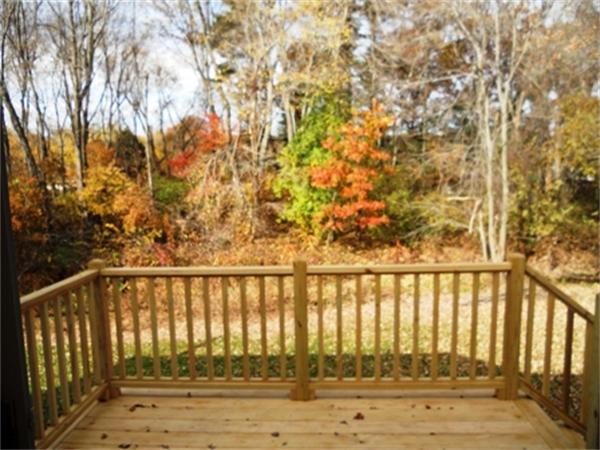 Viewing Image 12