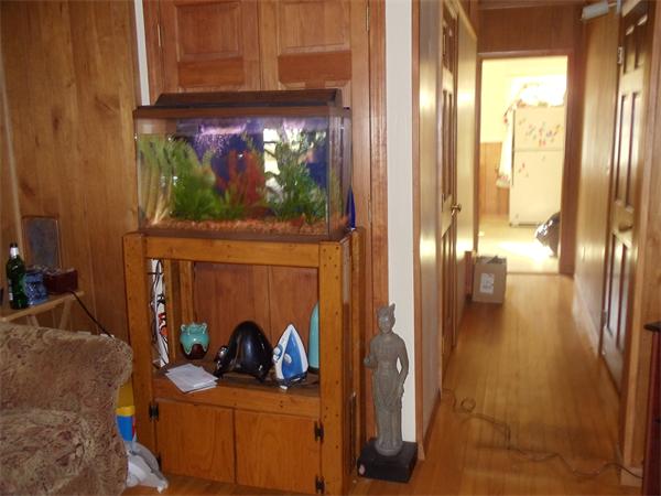 Viewing Image 4