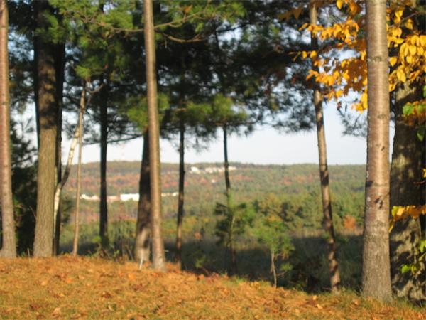 Viewing Image 6