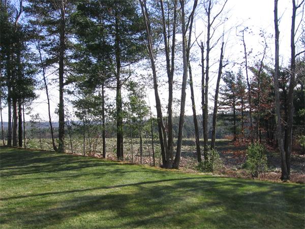 Viewing Image 16