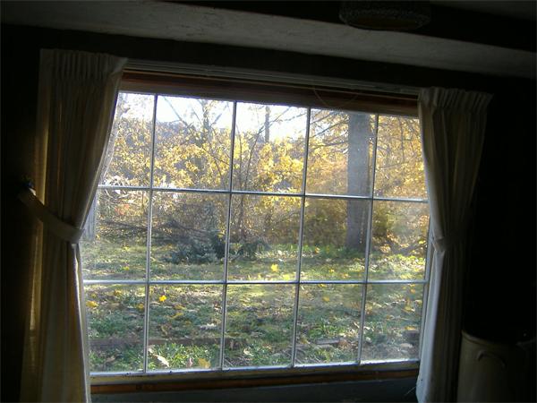 Viewing Image 14