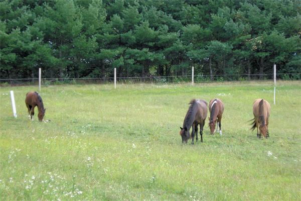 Real Estate for Sale, ListingId:17744423, location: Lot B Elizabeth Lane Lancaster 01523