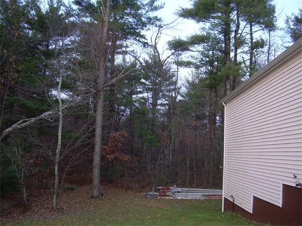 Viewing Image 3