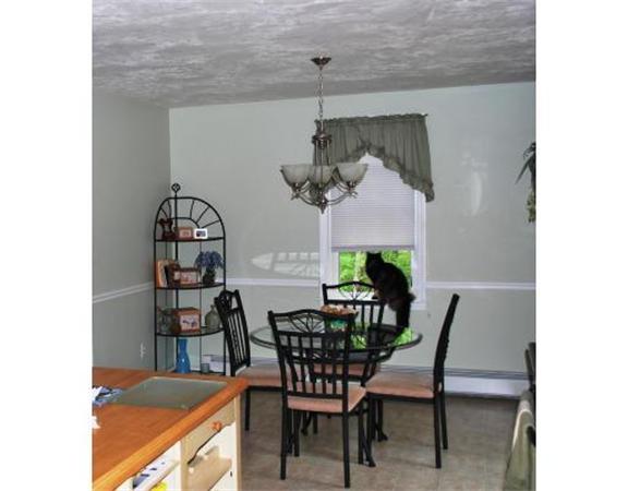 Viewing Image 15