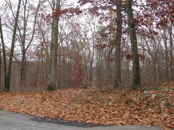 Real Estate for Sale, ListingId:17763780, location: 13 Potter Hill Road Grafton 01519
