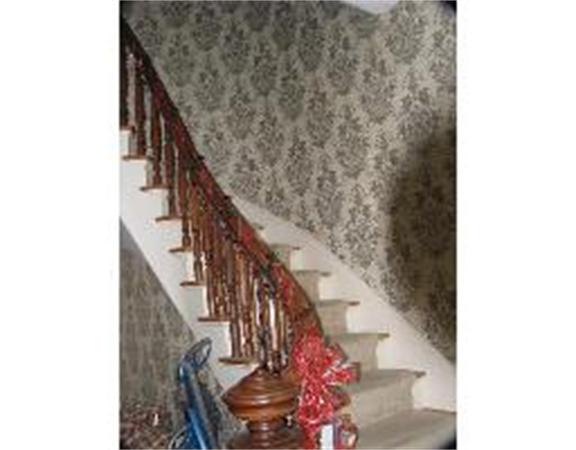 Viewing Image 8