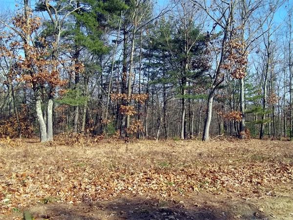 Real Estate for Sale, ListingId:17763789, location: Lot 7 Hudson Leominster 01453