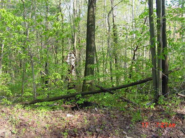 Land for Sale, ListingId:17763817, location: LOT 3 Burncoat Street Leicester 01524
