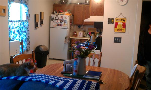 Viewing Image 3