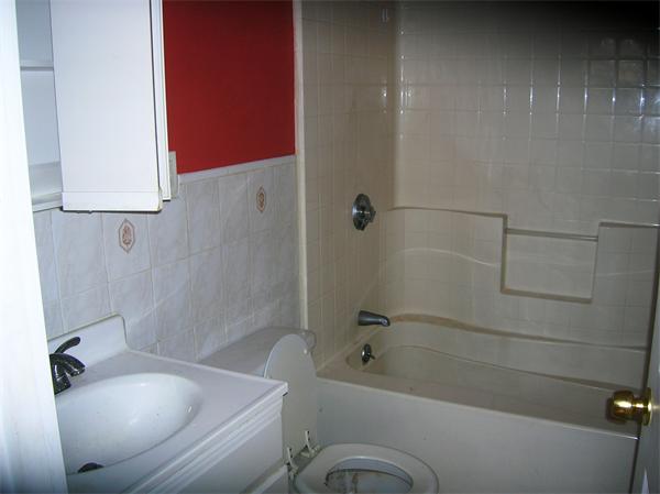 Viewing Image 11