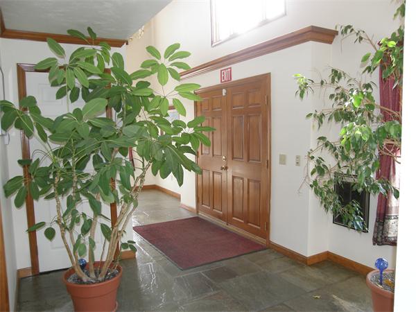 Viewing Image 2