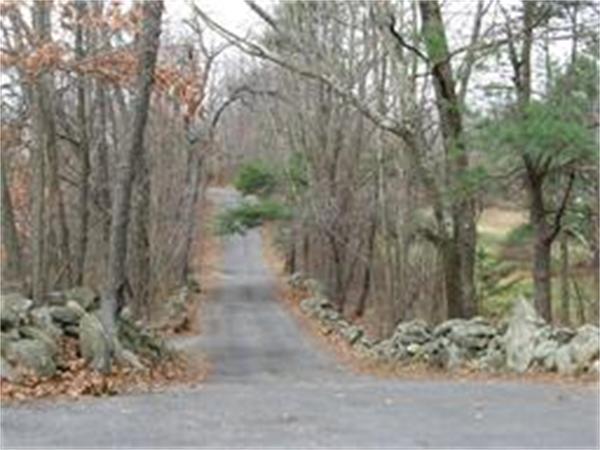 Viewing Image 16