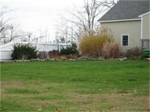 Viewing Image 19