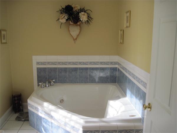 Viewing Image 11
