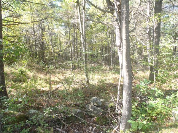 Land for Sale, ListingId:17791848, location: 151 Tuckerman Rd Ashburnham 01430